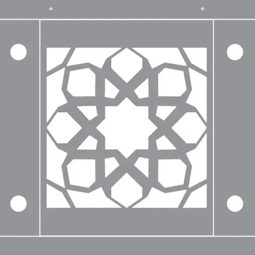 Tavan Seçenekleri - DTV-220